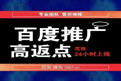 SEM优化技巧：实战案例深度剖析